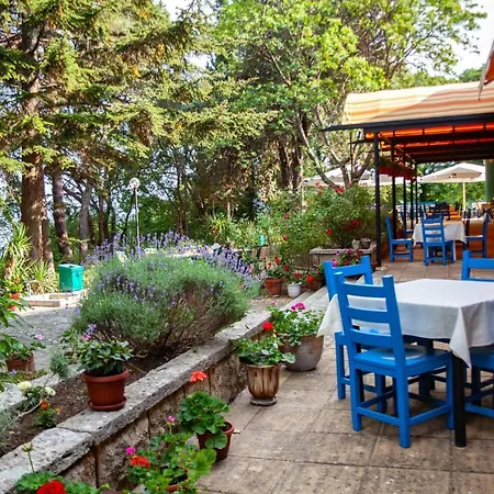 Adis Golden Sands